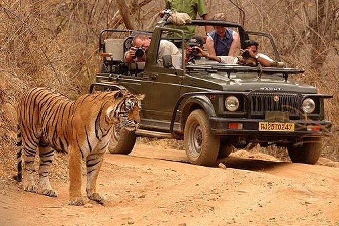 6 Nights & 7 Days Golden Triangle With Ranthambore National Park - Transportation Logistics