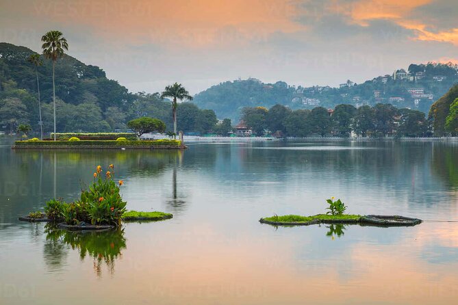 7 Days Tour in Srilanka - Tour Guide and Local Experts