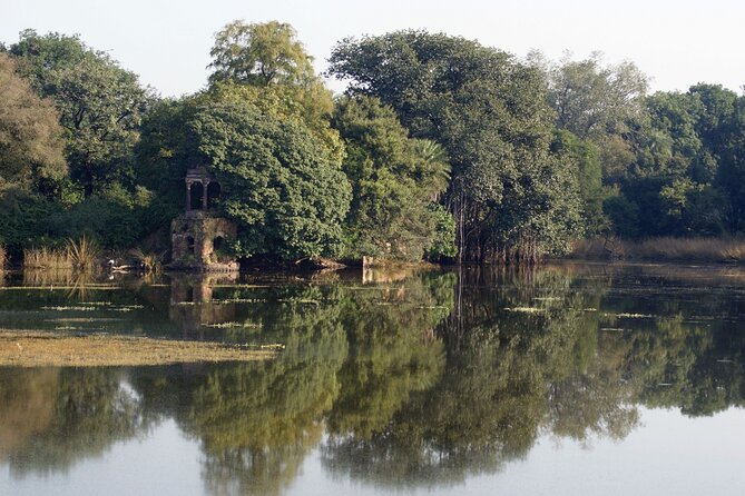 8-Day Private Transport for Golden Triangle Tour With Ranthambore - Frequently Asked Questions