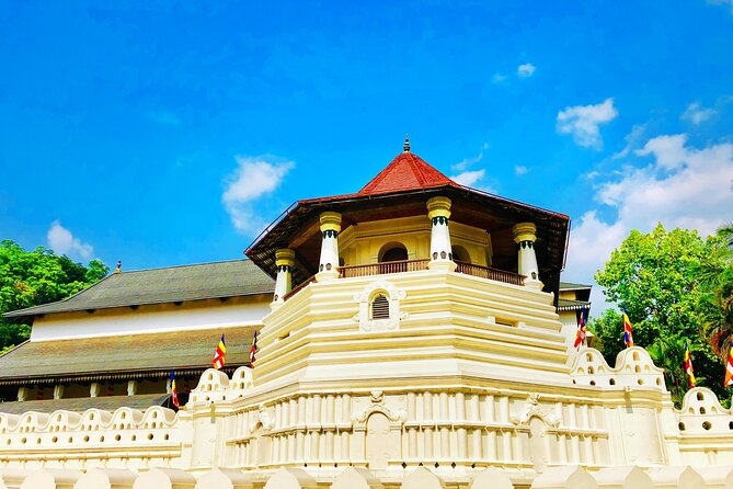 8 Days Private Vehicle With Driver Explore Srilanka By Your Own Plans - Frequently Asked Questions