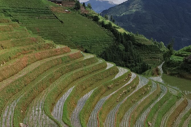 9-Day Private Tour From Nanning to Yangshuo and Guangzhou by Car - Participant Recommendations