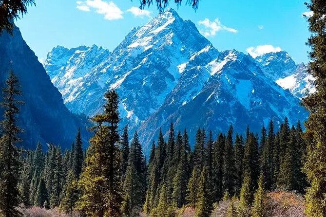 A Journey Through the Greenery of Wanglang - Tips for a Memorable Wanglang Visit
