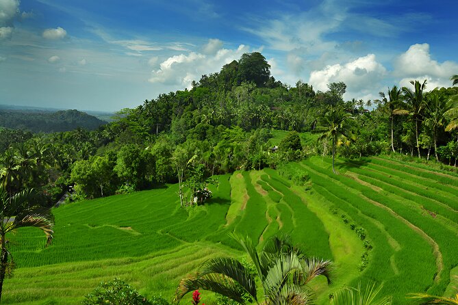 Ayung River Rafting Adventure and Kintamani Besakih Tour - Pricing and Reservations
