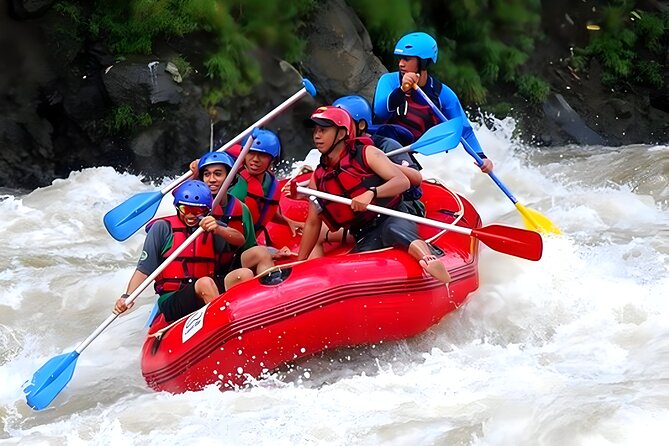 Ayung River Rafting + ATV Ride + Bali Swing Packages - Booking Details
