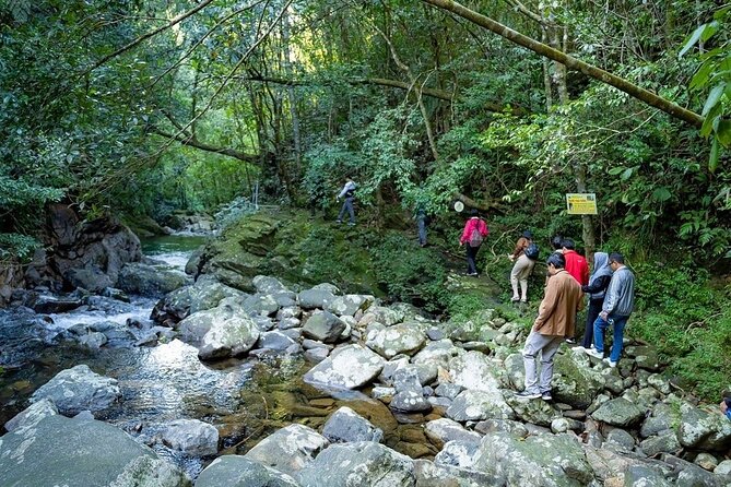 Bach Ma National Park Trekking Tour 1 Day From Hue City - The Sum Up