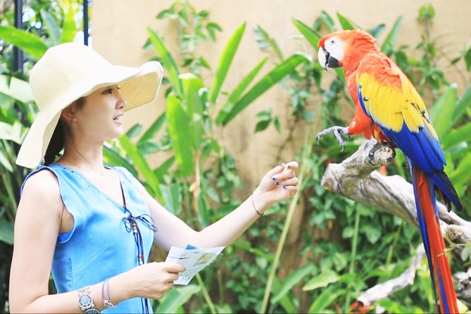 Bali Bird Park Entrance Tickets - Frequently Asked Questions