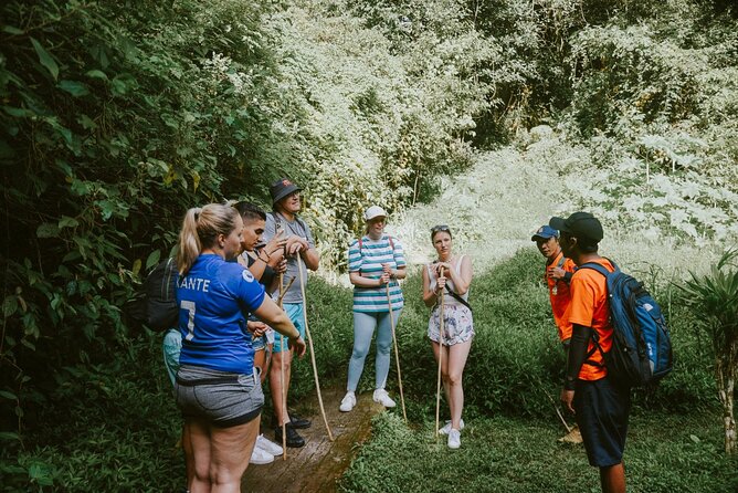 Bali Twin Lake Jungle Trekking and Canoeing - Physical Requirements