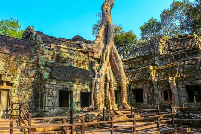 Best Siem Reap Angkor Wat Tour -Private - Frequently Asked Questions