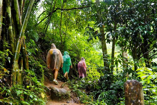 Birdwatching Walk in Sinharaja Rainforest From Mount Lavinia - Refreshments and Break Stops