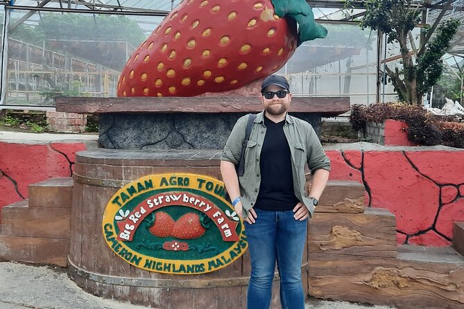 Cameron Highlands Nature & Batu Caves Culture Tour - Pricing and Booking