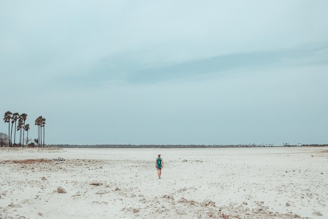 Ceylon Endearment (25 Days) - Transportation Logistics