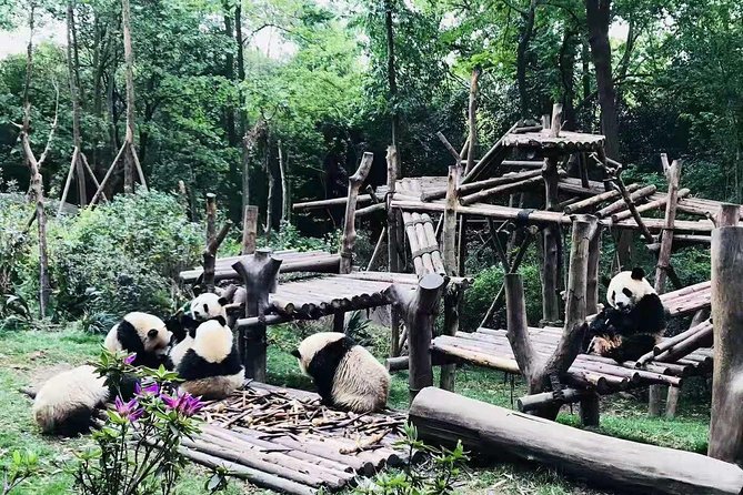 Chengdu Panda Tour and Shu Culture Discovery - Additional Notes for Travelers