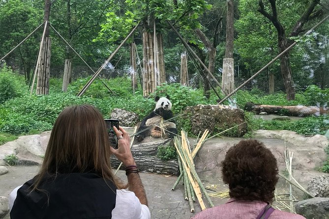 Chengdu Private Day Trip: the Research Base of Giant Panda & Leshan Giant Buddha - Group Exclusivity