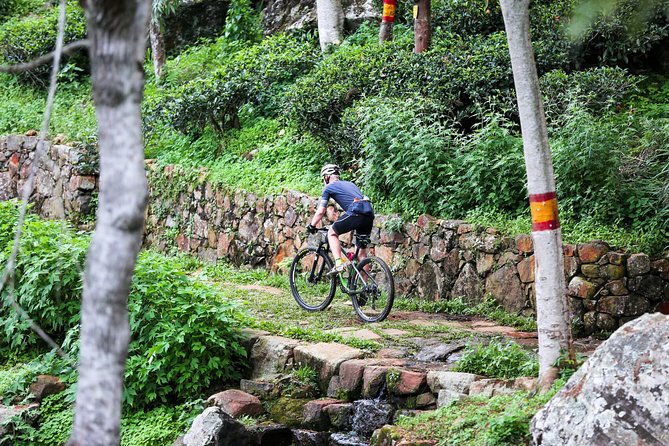 Cycling to Lipton Seat From Haputale - Return Point and End Time