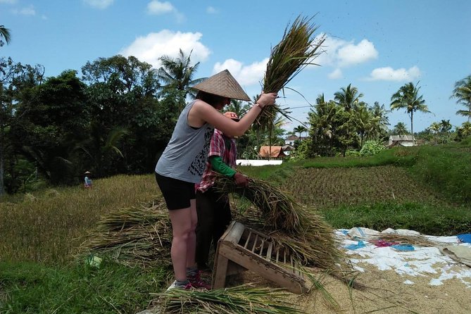 Daily Life Tour: Live Like A Local Farmer - Tour Accessibility Information