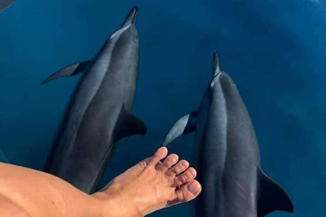 Discover Baa Atoll in 4 Nights and 5 Days - Package Itinerary