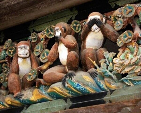 【Tokyo】 Nikko: Group Bus Tour - Frequently Asked Questions