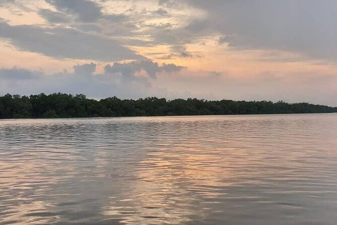 Escape to Kuala Selangor Firefly Park With Dinner - Secure Your Spot and Check Availability