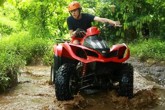 Experience Bali Quad Adventure - Overview of the Experience