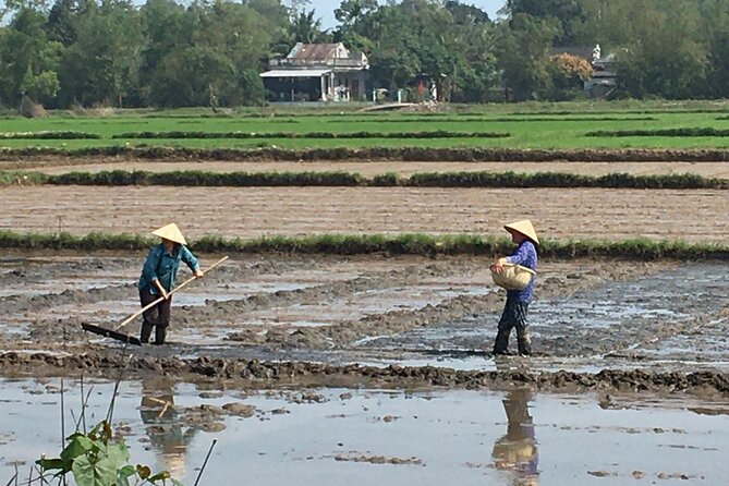 Exploring Countryside by Motorbike in Hoi An - Safety Precautions