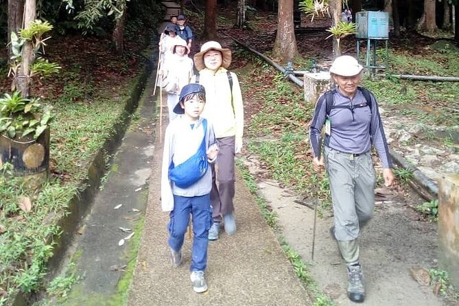 Forest Research Institute Malaysia FRIM Rainforest Private Tour - What To Expect