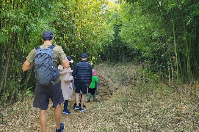 From Sapa: Waterfalls, Trekking and Tribal Villages Tour - The Sum Up