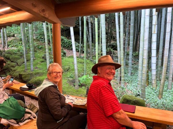 Full-Day Kamakura Tour, Tokyo / Yokohama ⇒ Tokyo, 2-4 Guests - Accessibility Features