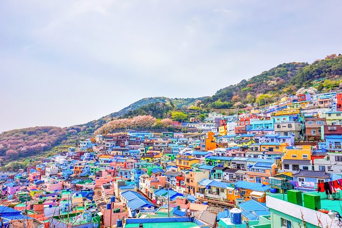 Full Day Private Shore Tour in Busan From Busan Cruise Port - Flexible Booking Options
