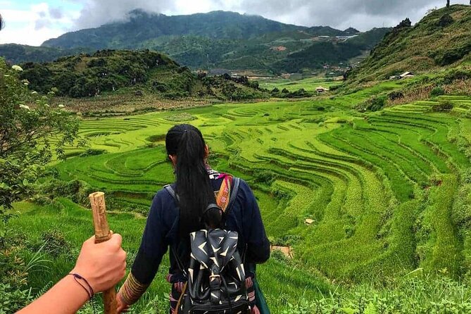 Full-Day Private Trekking Adventure in Sapa - The Sum Up