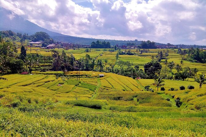 Full Day Wonders of Bali Private Tour With Pickup and Lunch - The Sum Up