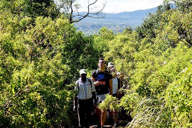 Guided Hike to Single Tree Hills From Nuwara Eliya - Safety Measures