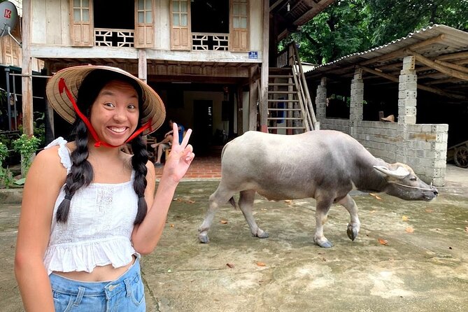 Hanoi - Mai Chau - Halong Bay - Package 5 Day 4 Night SIC Tour - The Sum Up