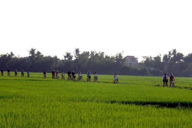 Hanoi: Shopping and Food Market Tour by Motorbike - The Sum Up