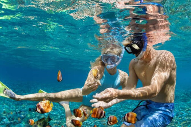 Highlights Nusa Penida Instagram Tour & Snorkeling From Bali - Pickup and Departure Details