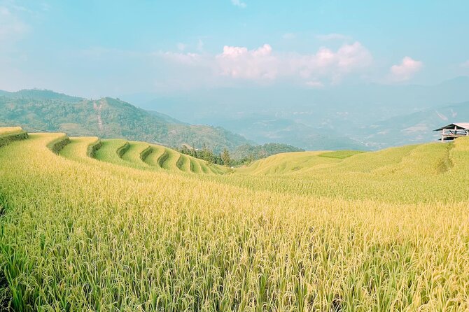 Hoang Su Phi Private 2 Day 1 Night Tour From Ha Giang - Booking Confirmation