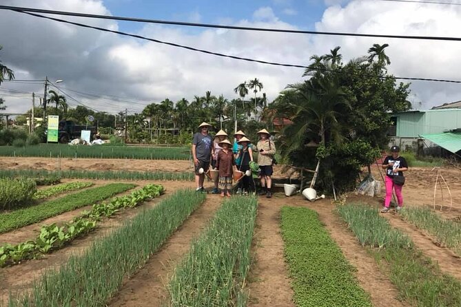 Hoi An Countryside Adventure by Army Jeep Private Tour - Pricing and Guarantee