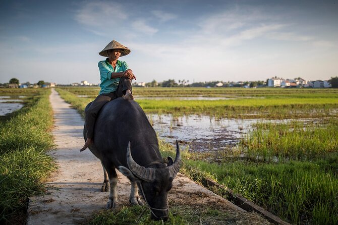 Hoi an Private Cooking Class With Lantern Workshop & Bicycle Tour - Price and Cancellation Policy