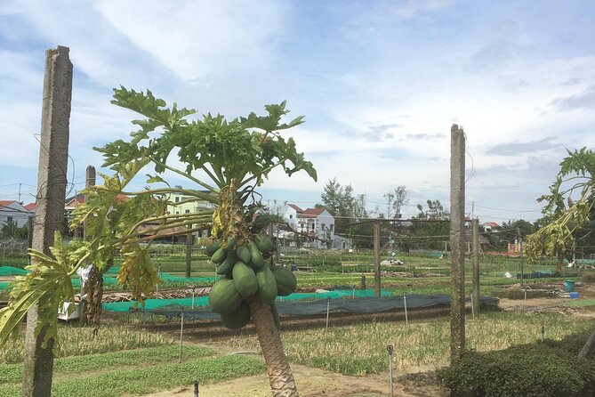 Hoi An Vegetable and Herb Village Private Tour - Cancellation Policy