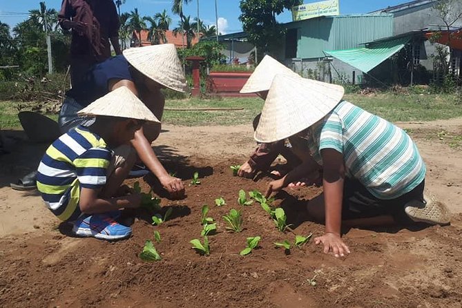 Hoi An Village Countryside Tour by Bicycle - The Sum Up