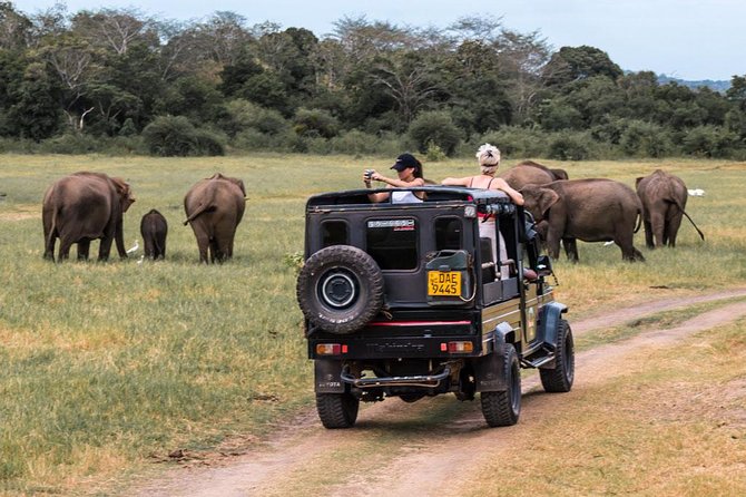 Hurulu Eco Park Private Safari - Pricing Details and Flexibility