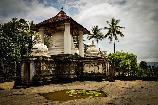 Kandy Day Tour - Two Temples, Kandy City and Peradeniya Garden - Tour Inclusions