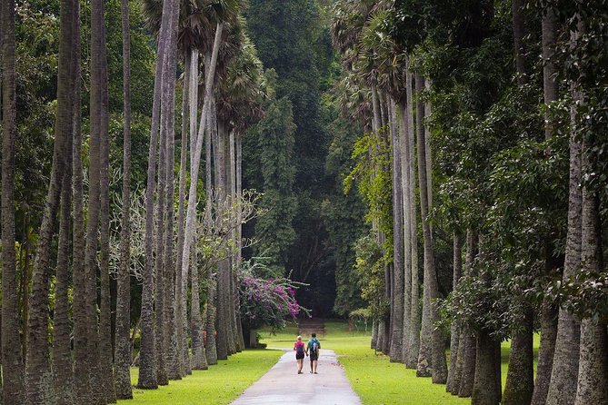 Kandy Private City Tour Do It All in One Day - Availability and Reservations