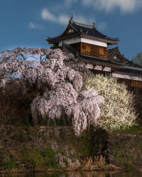 Kansai 10-Hour Chartered Day Trip｜Nara City - Inclusions and Exclusions Explained