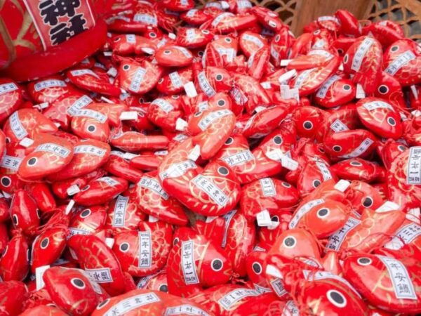 Kanto 10-Hour Chartered Day Trip｜ Kawagoe - Frequently Asked Questions