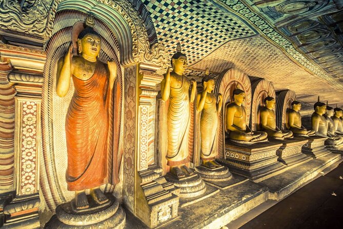 Kaudulla Jeep Safari & Dambulla Day Tour From Trincomalee - The Sum Up