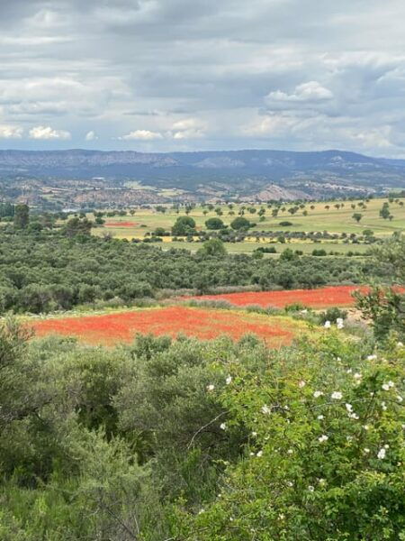 Madrid: Unspoiled Spain for Foodies & Nature ❤️'s - Inclusions in the Tour