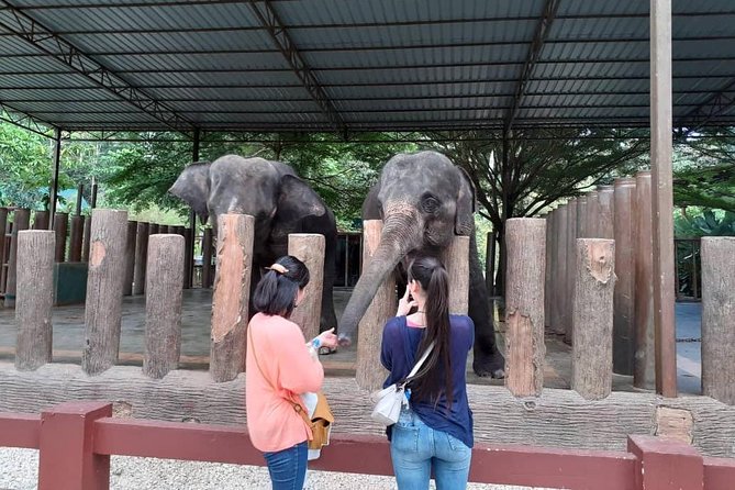 National Elephant Conservation Centre With Batu Caves Visit (Private) - Additional Information