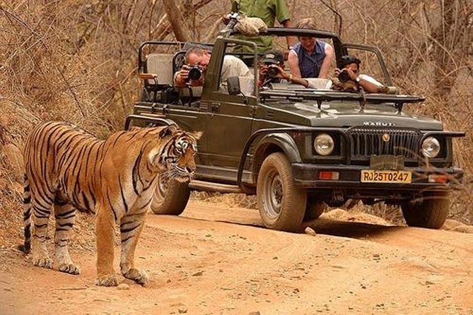 Northern India Family Holiday - Booking Information