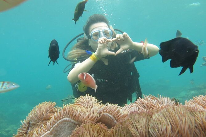 One Day Explore Nha Trang Islands & Join Floating Bar - Important Reminders
