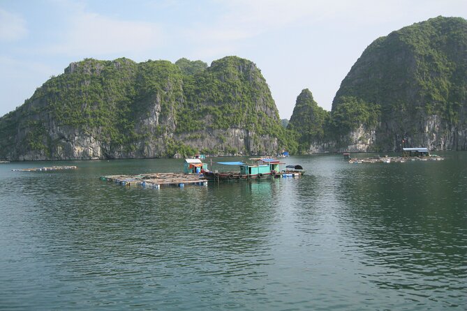 Package: Bus Ha Noi to Cat Ba + 1 Day Boat Trip, La Ha Bay, Ha Long Bay - Cancellation Policy